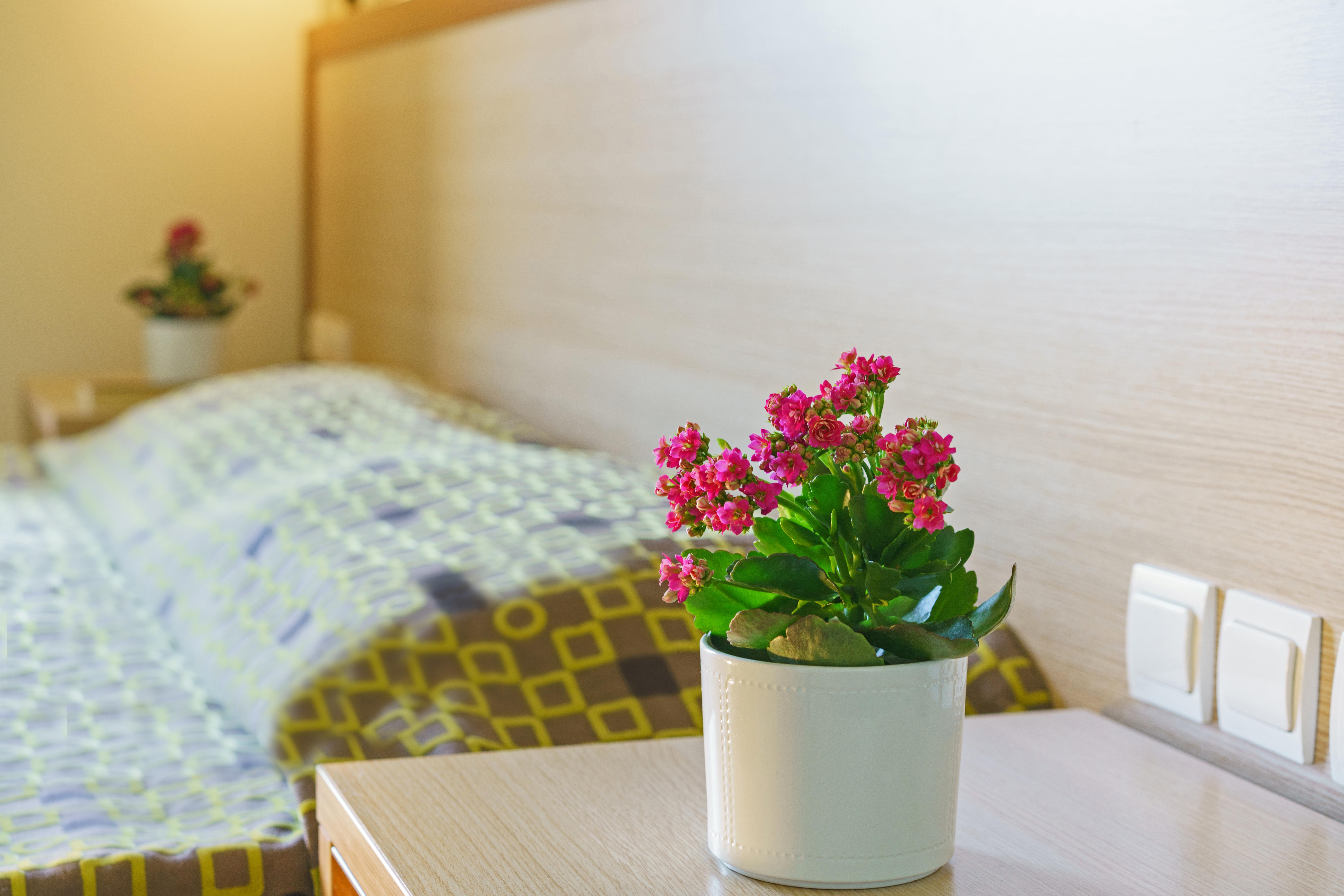 Alianthos Beach Hotel Plakias Exterior photo